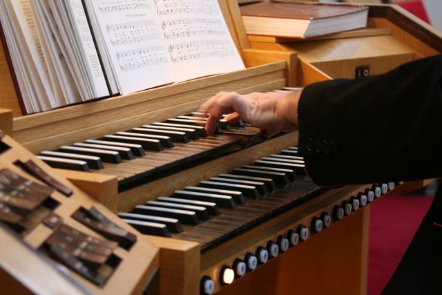 Organisti