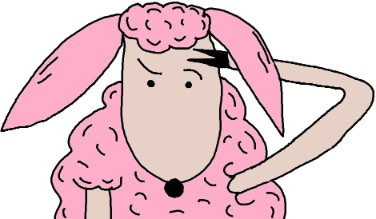 sheep