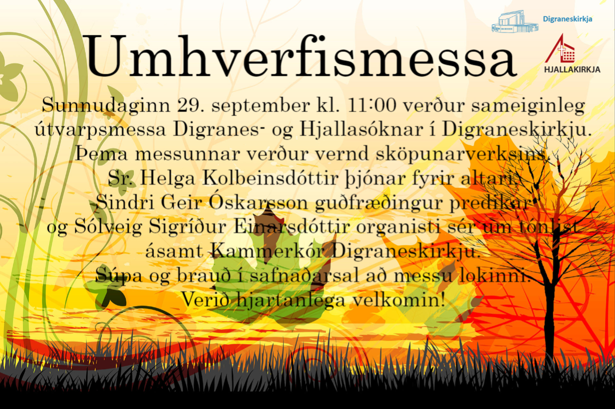 Umhverfismessa