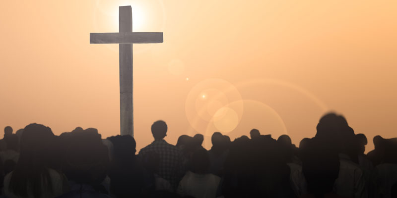 1463-the-way-of-the-cross