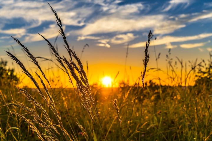 summer-sunset