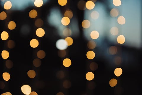 pexels-photo-567985