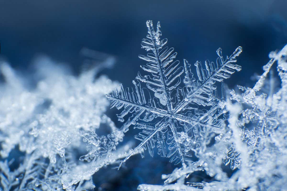 Snowflake-spotters-needed-to-give-climate-science-a-boost