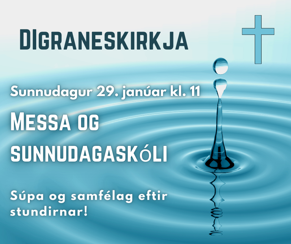Sunnudagur 29.janúar (1)