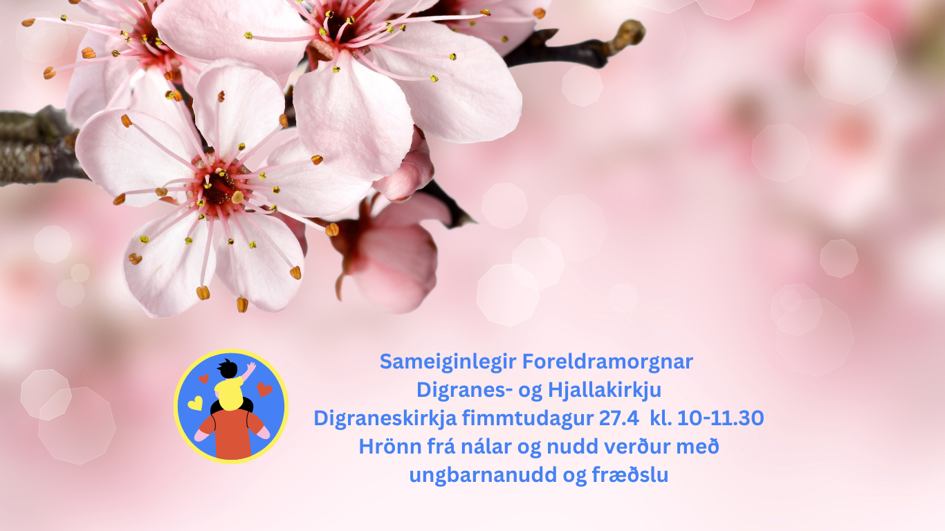 Sameiginlegir Foreldramorgnar Digranes- og Hjallakirkju í Digraneskirkju fimmtudaga kl. 10-11.30 (Website)