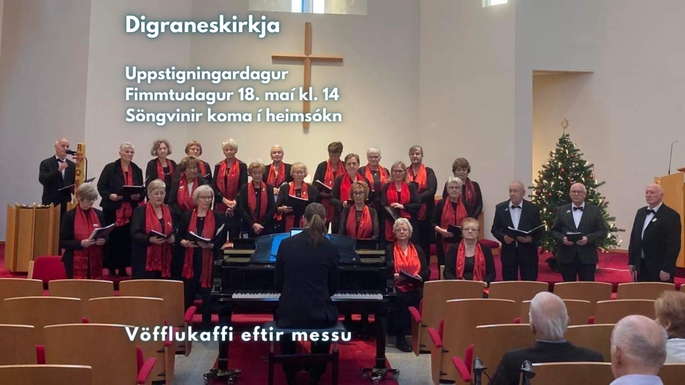 Digraneskirkja (Website)